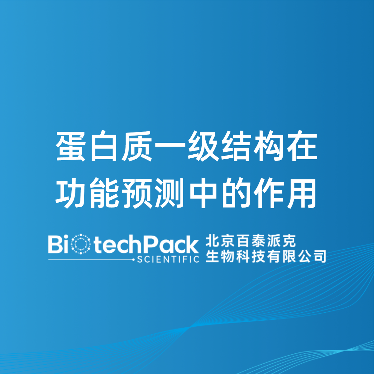 蛋白质一级结构在功能预测中的作用