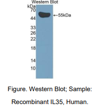 https://msimg.bioon.com/bionline/goods-no-pic.png