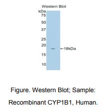 https://msimg.bioon.com/bionline/goods-no-pic.png