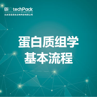 蛋白质组学基本流程