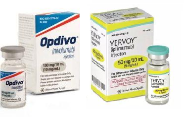 <font color="red">Opdivo</font>+<font color="red">Yervoy</font>二线治疗肝细胞癌被FDA批准