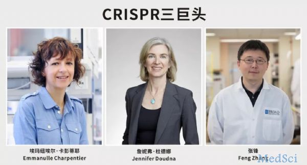 <font color="red">全球</font>首个在体CRISPR基因编辑完成患者给药