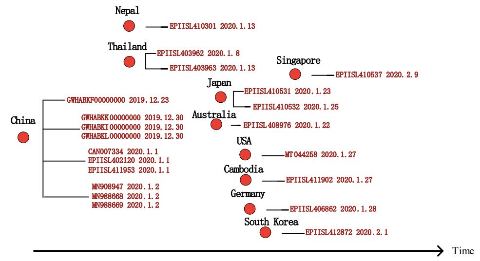21个国家377个全基因组分析：探究新冠病毒起源，重大突变及进化关系