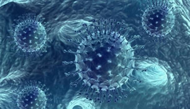 Lancet Infect Dis：新冠病毒快速传播之谜：发病首周就唾液中病毒载量达高峰