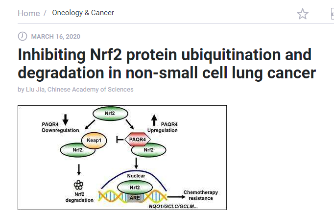 Sci Rep：【研究】特定的脱乙<font color="red">酰化</font>酶可治疗非小细胞肺癌？