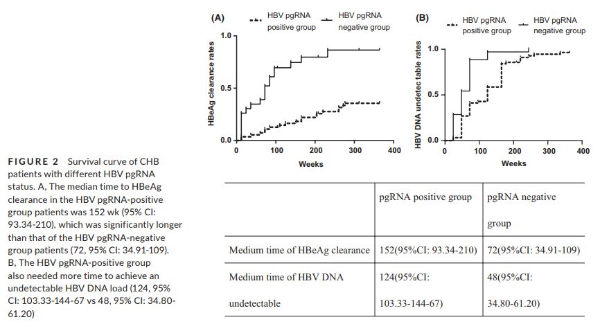 JVH：HBV pgRNA能够预测NAs抗病毒治疗慢性乙型<font color="red">肝炎</font>患者的长期预后