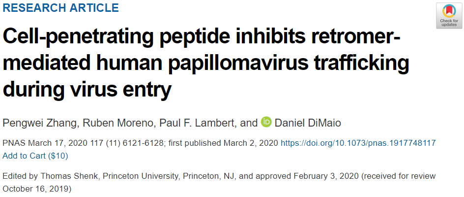 PNAS：耶鲁科学家发现阻断HPV<font color="red">感染</font>新疗法！或可弥补宫颈癌疫苗不足