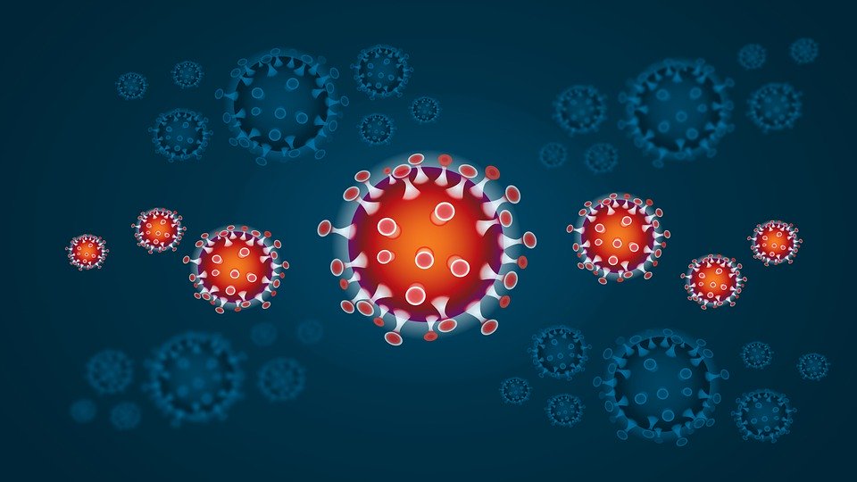 BioRxiv：新冠病毒基因组变异监测及研究方法取得阶段性突破