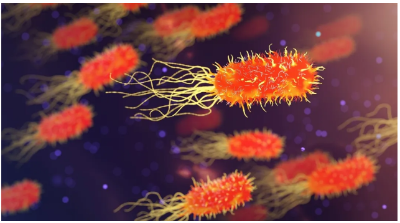 科学家首次揭示，肠道微生物可通过激活肠道神经元，<font color="red">感应</font>肠道环境，调控肠道蠕动