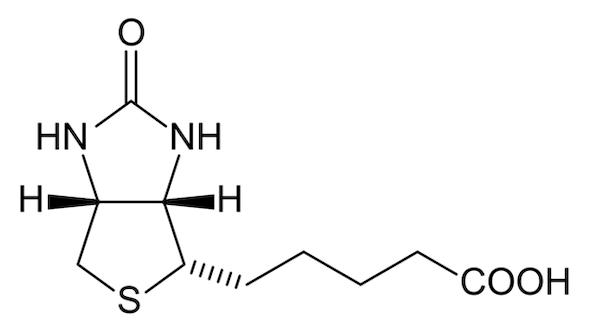 生物素结构图片