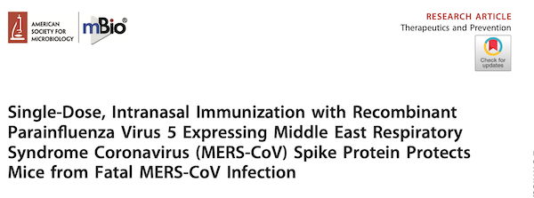 MERS<font color="red">疫苗</font>成功研发，COVID-19还能存活多久？