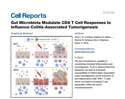 Cell Rep: 肠道细菌或能通过刺激免疫细胞对抗结<font color="red">直肠癌</font>