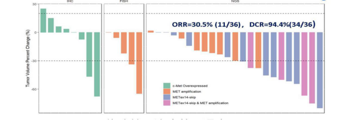AACR 2020：伯瑞替尼治疗MET异常NSCLC，ORR<font color="red">达</font>30.5%