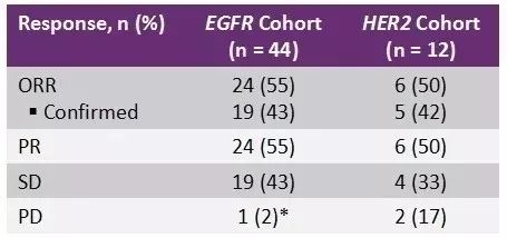 AACR 2020：波奇替尼治疗NSCLC的EGFR <font color="red">20ins</font>的II期研究