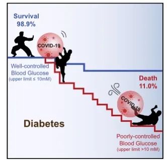 Cell Metab：李紅良教授發(fā)現(xiàn)糖尿病合并新冠肺炎的患者血糖控制水平與死亡率相關(guān)