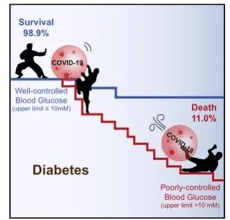 Cell Metab：李红良教授发现糖尿病合并新冠肺炎的患者血糖控制水平与死亡率相关