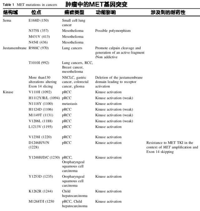 <font color="red">MET</font>基因的突变、检测、药物和耐药