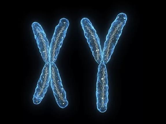 J Natl Cancer Inst：Y染色体低表达易患癌！研究发现Y染色体极度低表达与男性癌症发生率升高2.66倍有关