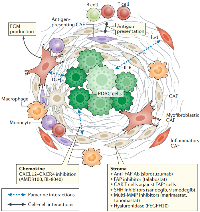 Nat Med：CXCR4拮抗剂+PD-1抑制剂+化疗三联疗法治疗胰腺癌获突破