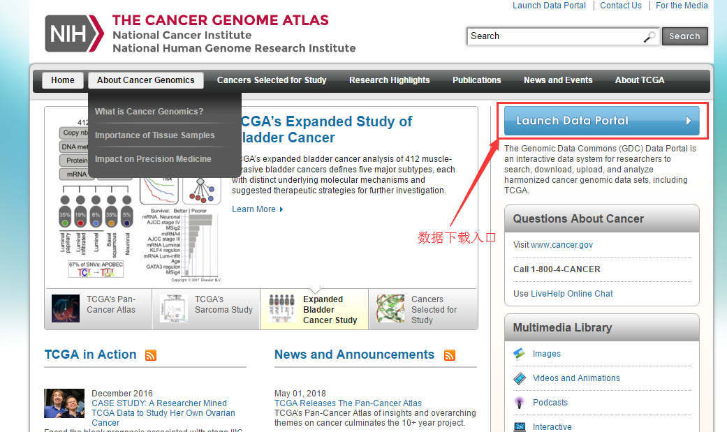 实例：用<font color="red">TCGA</font><font color="red">数据库</font>分析癌症和癌旁组织的表达差异