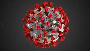 <font color="red">英国</font>批准全球首款治疗新冠病毒COVID-19的药物——地塞米松