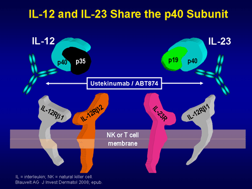 由于缺乏疗效，强生放弃IL-12/IL-23单抗Stelara治疗系统性红斑狼疮的三期研究