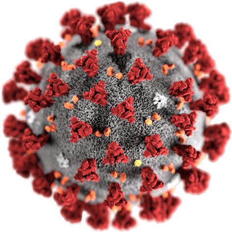 Regeneron的双抗体鸡尾酒疗法预防新冠病毒<font color="red">COVID-19</font>感染，进入III期研究阶段