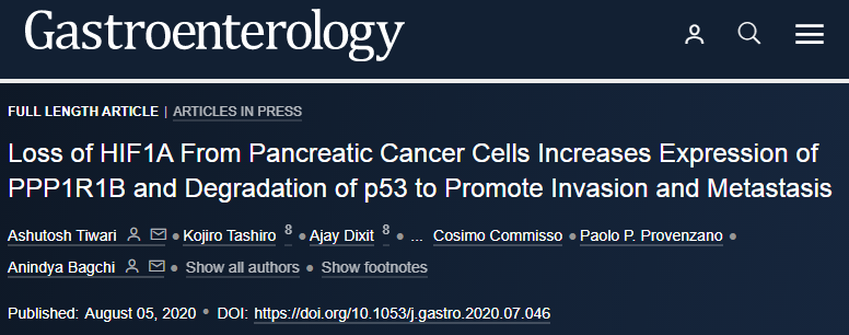 Gastroenterology：胰腺癌的新药物靶标——<font color="red">PPP</font>1R1B蛋白