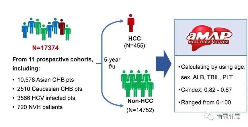 J Hepatol：<font color="red">侯</font><font color="red">金</font><font color="red">林</font>教授团队发表全球首个跨病因和跨种族的慢性肝病患者肝癌风险预测模型——aMAP评分