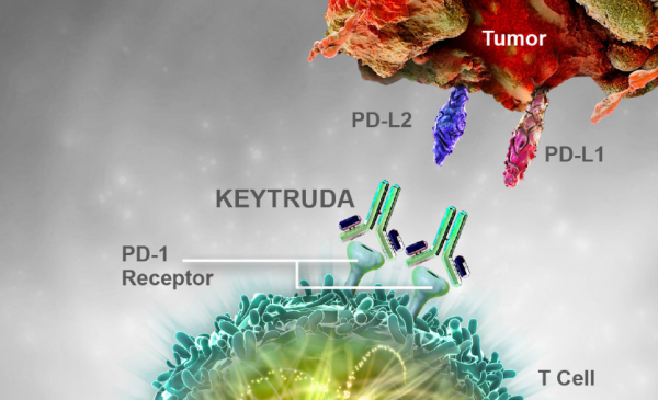 默克的PD-1单抗KEYTRUDA联合化疗显着提高晚期食道癌患者的<font color="red">总</font><font color="red">生存期</font>和无进展<font color="red">生存期</font>
