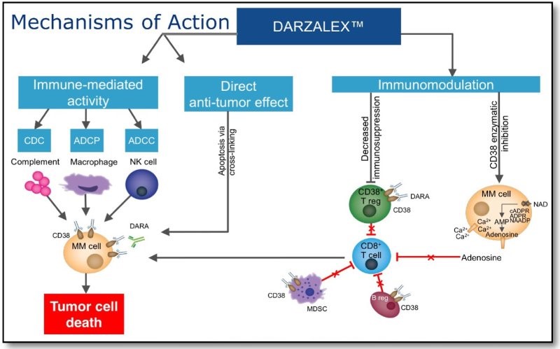 多発性骨髄腫に対するダーザレックス