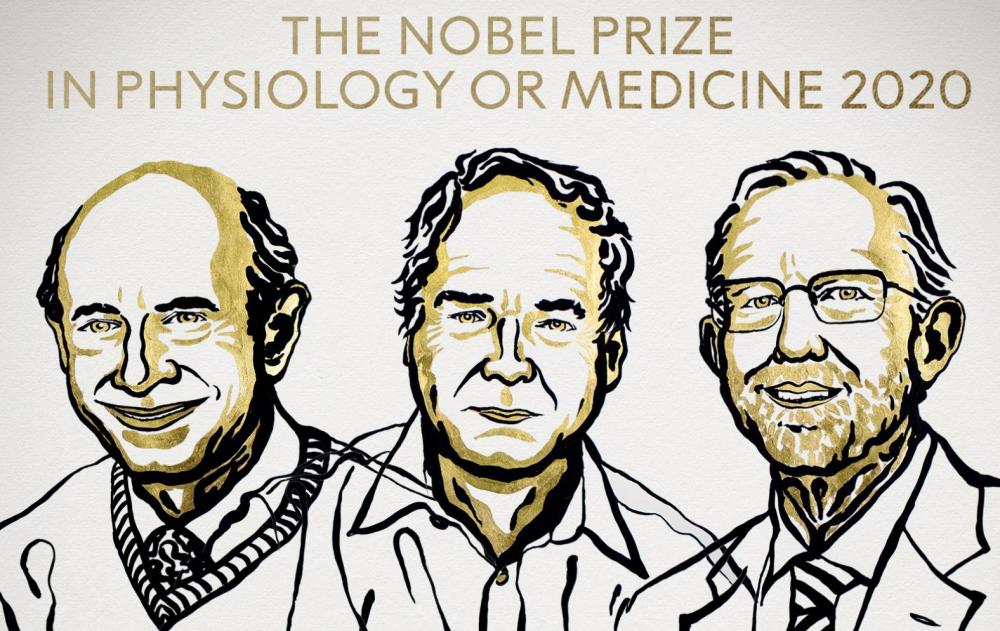 刚刚，2020年诺贝尔生理学或医学奖揭晓！三位丙肝发现者获奖