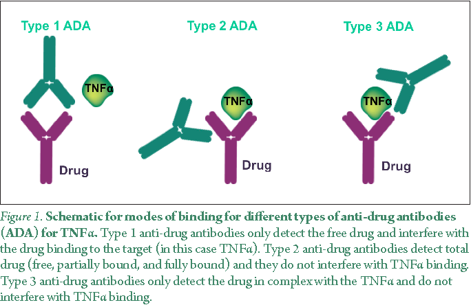 Figure 1 from Development of Pharmacokinetic ( PK ) Assays for Detecting  Biosimilars Targeting TNFα Using AlphaLISA | Semantic Scholar