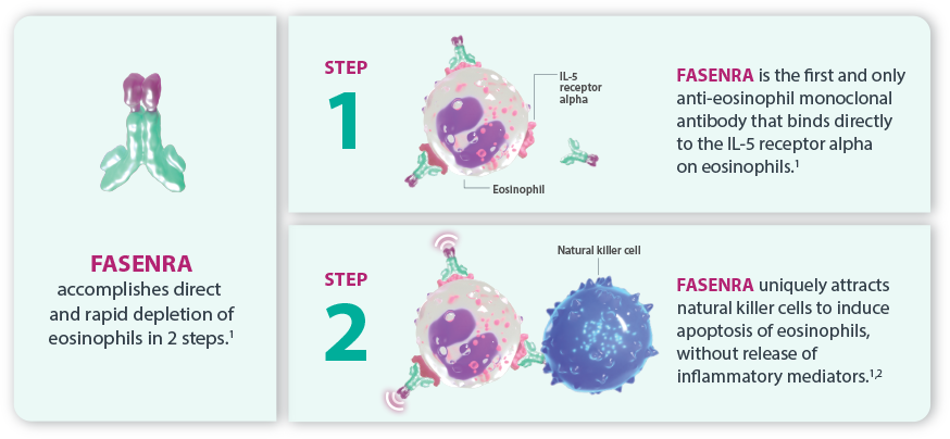 Fasenra® (benralizumab) Mechanism of Action | For HCPs