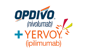 Opdivo联合Yervoy：欧洲获批一<font color="red">线</font><font color="red">治疗</font>转移性非小细胞肺癌
