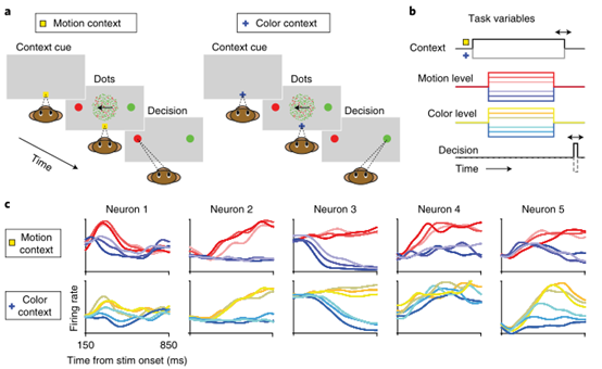 Nature Neuroscience: <font color="red">前额叶</font><font color="red">皮层</font>在决策过程中表现出多维动态编码