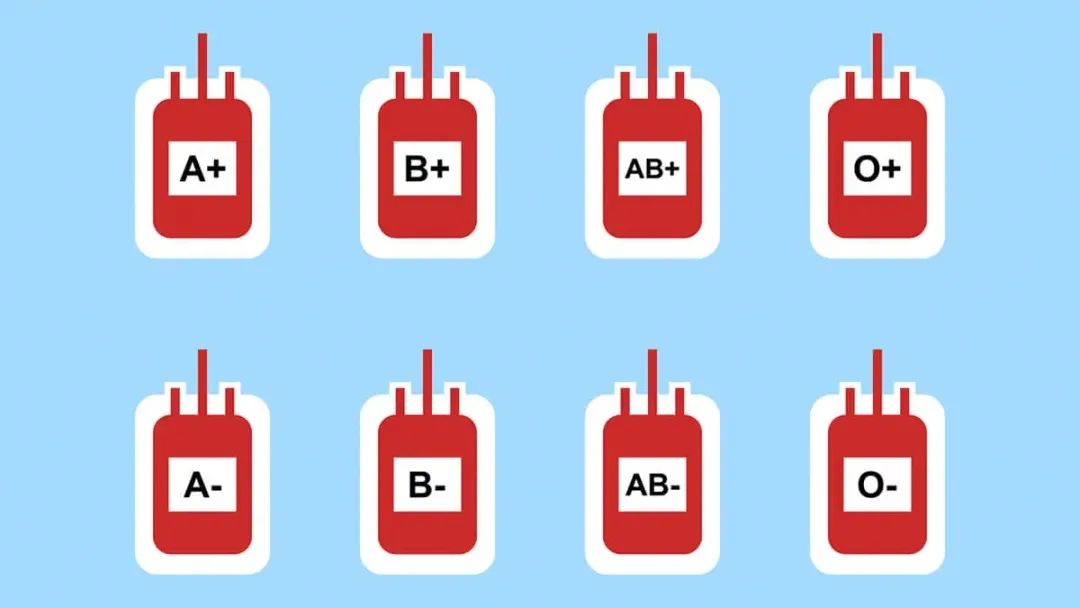 哪种<font color="red">血型</font>的人最长寿？