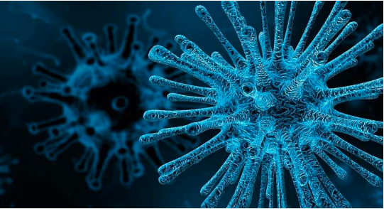 Immunity：研究发现肺巨噬细胞多种发育途径，或可解释免疫细胞加重肺部疾病的原因