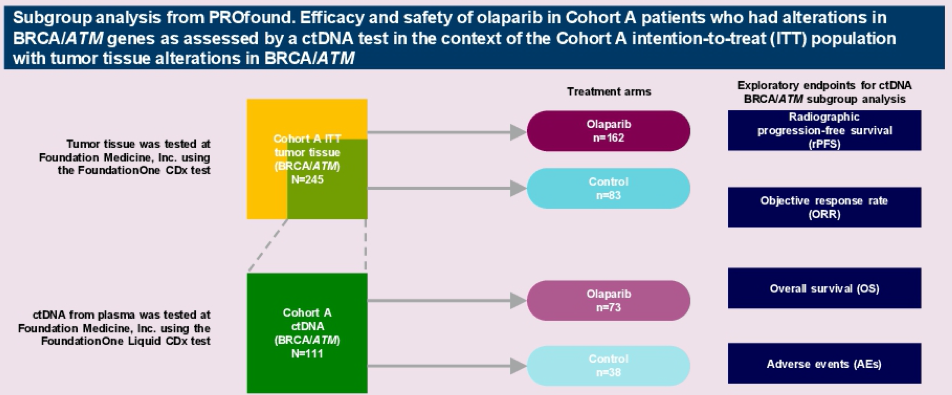 ASCO GU 2021: ctDNA检测能有效判断Olaparib对<font color="red">去势</font><font color="red">抵抗性</font><font color="red">前列腺癌</font>效果（PROfound研究）