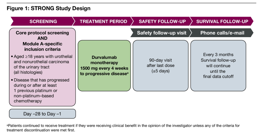 ASCO GU 2021：固定剂量的<font color="red">Durvalumab</font>单药治疗尿道肿瘤具有良好的安全性（STRONG研究）