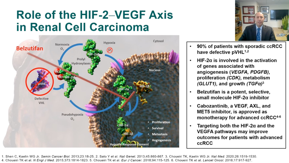 ASCO GU 2021: <font color="red">HIF-2</font>α<font color="red">抑制剂</font>Belzutifan在晚期肾透明细胞癌中初显疗效
