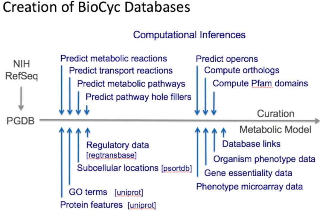 BioCyc数据库介绍 23.5最新版