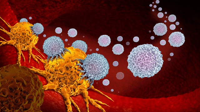 Future Cancer Immunotherapy Treatments Could Be Administered by a Pill |  Technology Networks