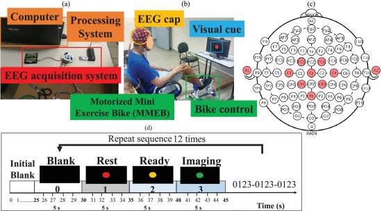 Fig. 2. - Representation of the experimental setup while a subject was triggering the proposed BMI by pedaling MI. (a) Platform for EEG acquisition and processing; (b) EEG cap of 64 electrodes, bike-control and visual cues; (c) EEG locations (circles filled with red color) used in our experiments; (d) Sequence of stimuli used to guide the users executing pedaling MI.