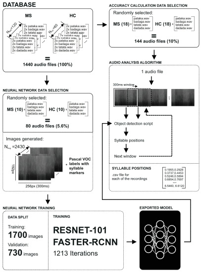 Fig. 2. - Scheme depicting the process of data pooling, preparation of training/validation subsets and training of the CNN based on Restnet-101 topology with implemented Faster-RCNN data object model, as well construction of the CNN input and achieving the final classification result.