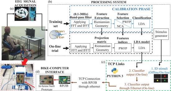 Fig. 1. - Proposed system for EEG processing and pedaling imagery recognition during the Calibration and On-line phases.