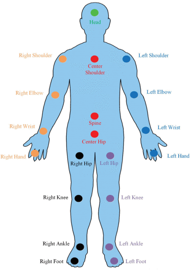 Fig. 3. - The dots with six different colors indicate major joints located in six different body parts (green: major joint in head; read: major joints in trunk; yellow: major joints in right upper limb; blue: major joints in left upper limb; black: major joints in right lower limb; purple: major joints in left lower limb), respectively.