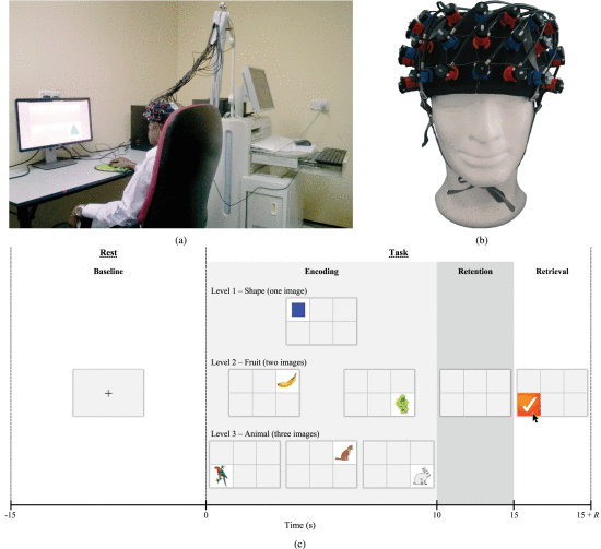 Fig. 1. - (a) The experimental setup. (b) The fNIRS optodes setup. (c) The paradigm for a single trial where 
${R}$
 indicates the time to completion.