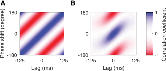 Fig. 3. - Relationship between envelope shifts in time and in phase. (A), The correlation of a sinusoidal oscillation at 4 Hz shifted by different delays and phases shows that the two shifts are dependent. In particular, a temporal lag can be compensated by a certain phase shift and vice versa. (B). When the speech envelope is shifted by different lags and phases, the obtained signals are only significantly correlated for latency shifts between â100 ms and 100 ms. In contrast, shifts by smaller or larger temporal delays lead to independent signals.