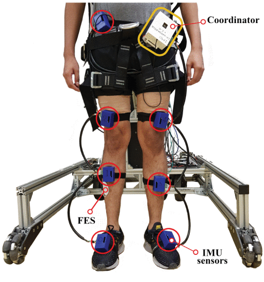 Fig. 3. - The IMU system used in this pilot study was composed of seven inertial sensors placed on the right and left legs and at the waist.